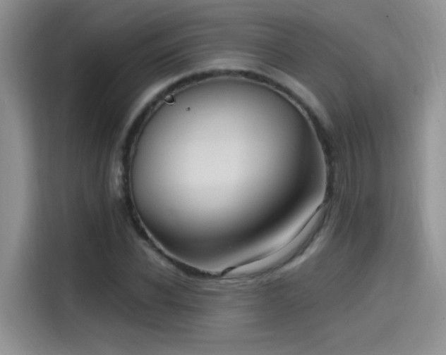 X0000115610926200911171145