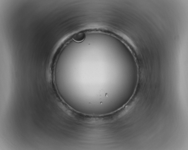 X0000115610927200911171145