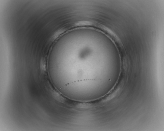 X0000115610929200911171145
