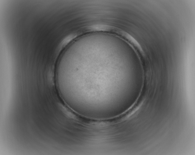 X0000115610930200911171145
