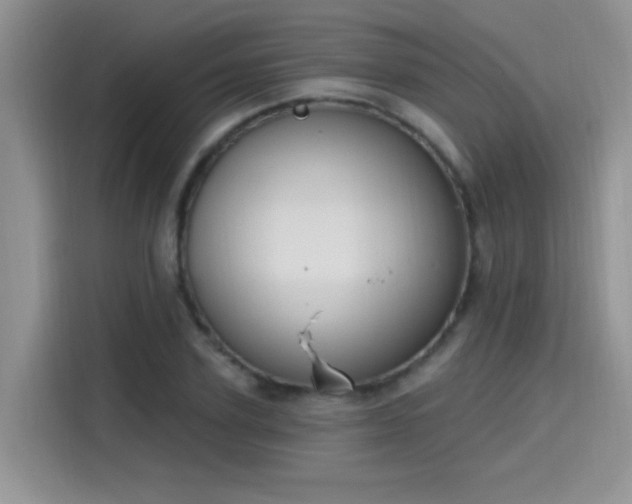X0000115610931200911171145