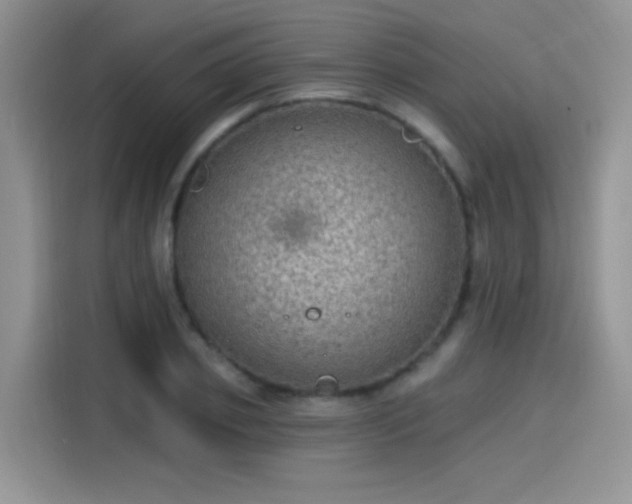 X0000115610933200911171145