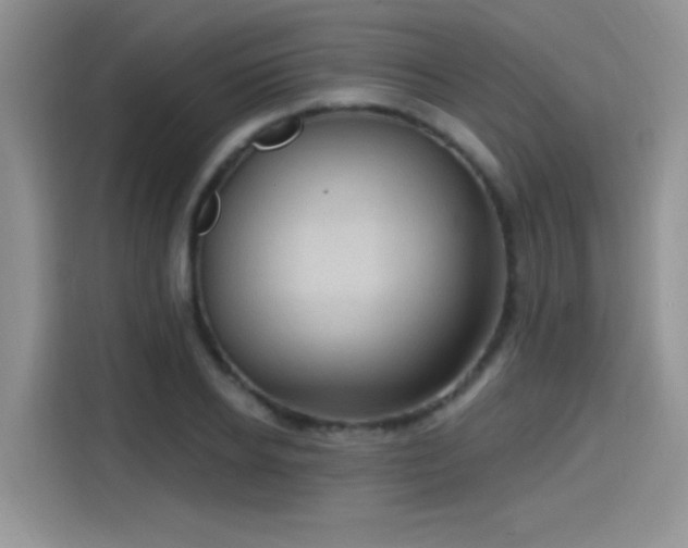 X0000115610934200911171145