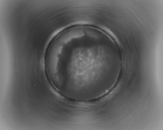 X0000115610935200911171145