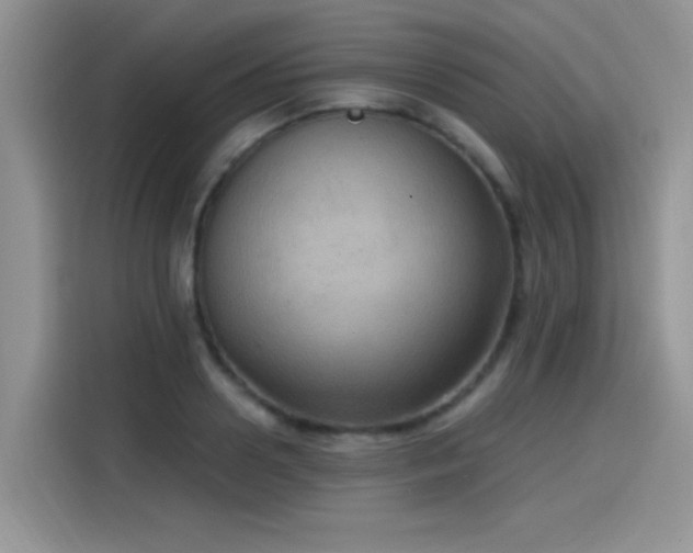 X0000115610938200911171145