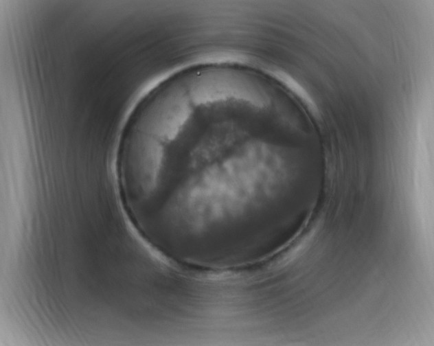 X0000115610943200911171145