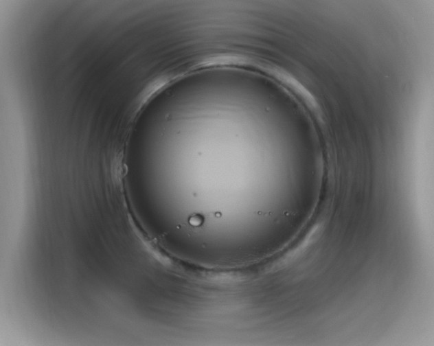 X0000115610945200911171145