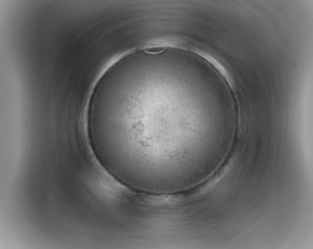X0000115610949200911171145