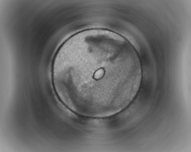 X0000115610950200911171145