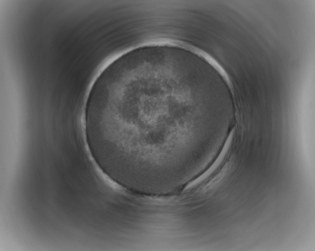 X0000115610951200911171145