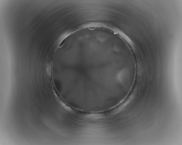 X0000115610953200911171145
