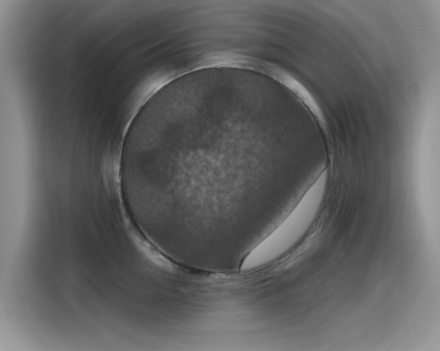 X0000115610954200911171145