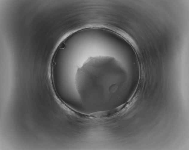 X0000115610958200911171145
