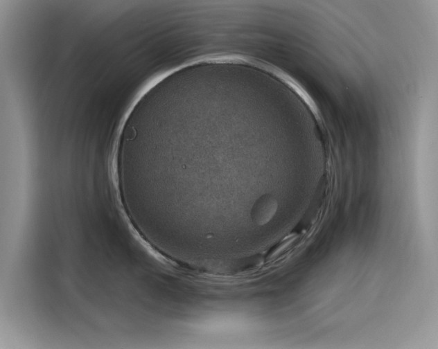 X0000115610959200911171146