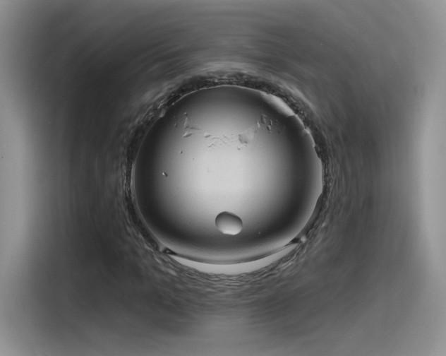 X0000115610965200911171145