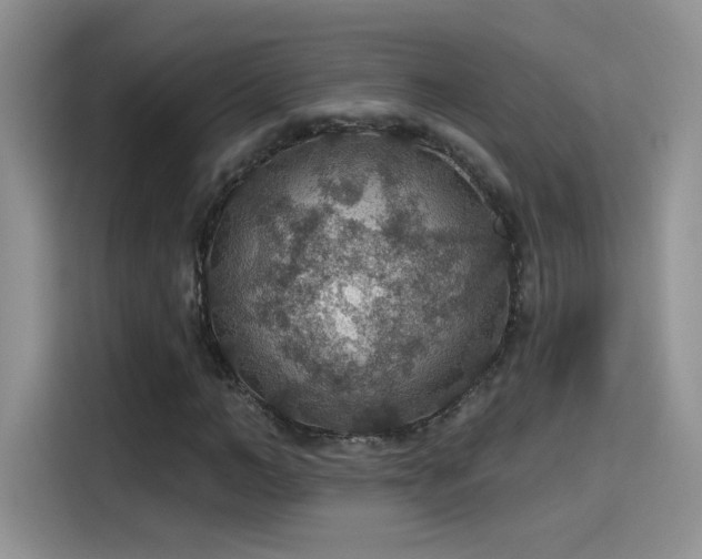 X0000115610966200911171145