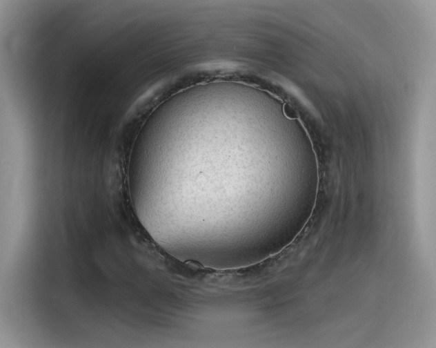 X0000115610967200911171145
