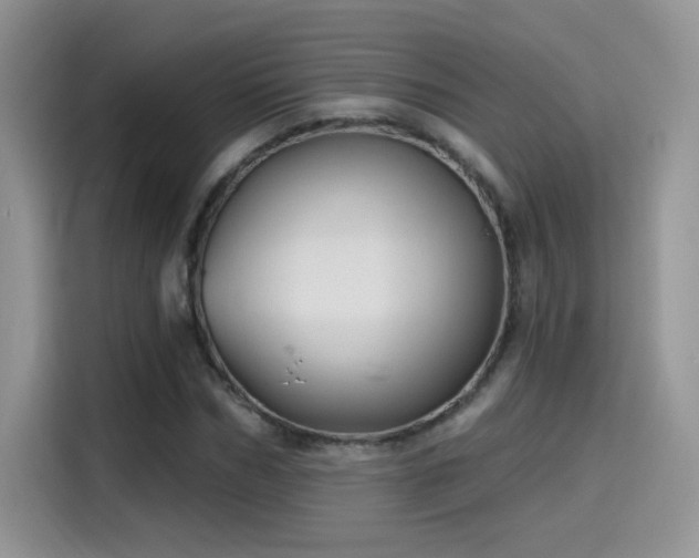 X0000115610970200911171145
