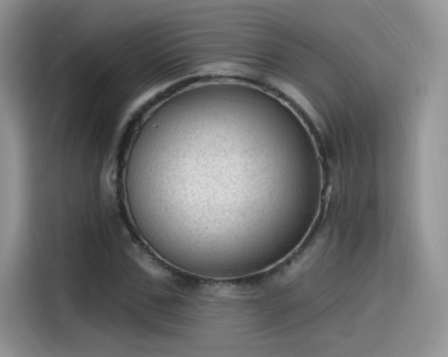 X0000115610971200911171145