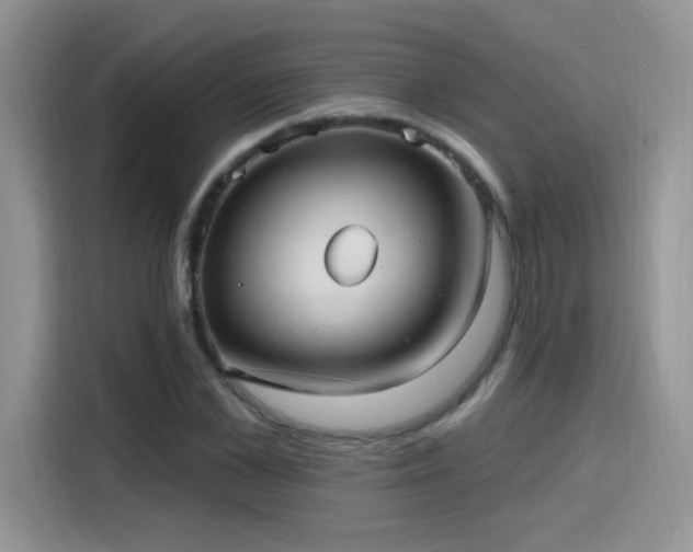 X0000115610973200911171145
