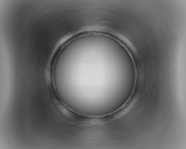 X0000115610974200911171145