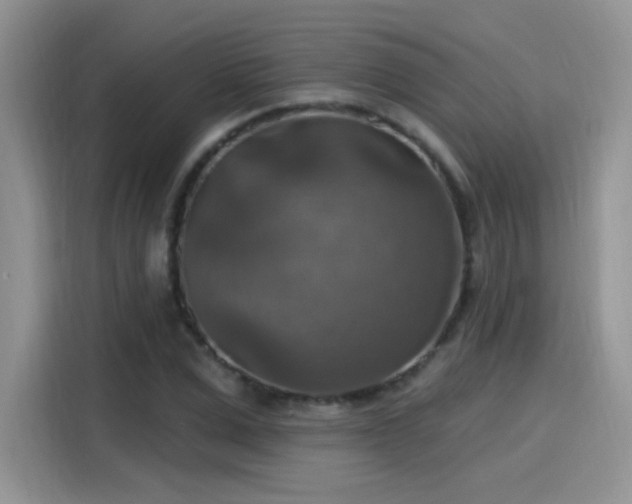 X0000115610975200911171145