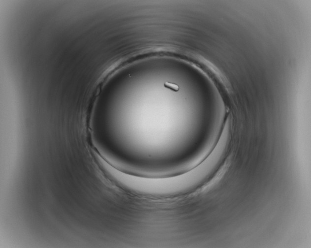 X0000115610977200911171145