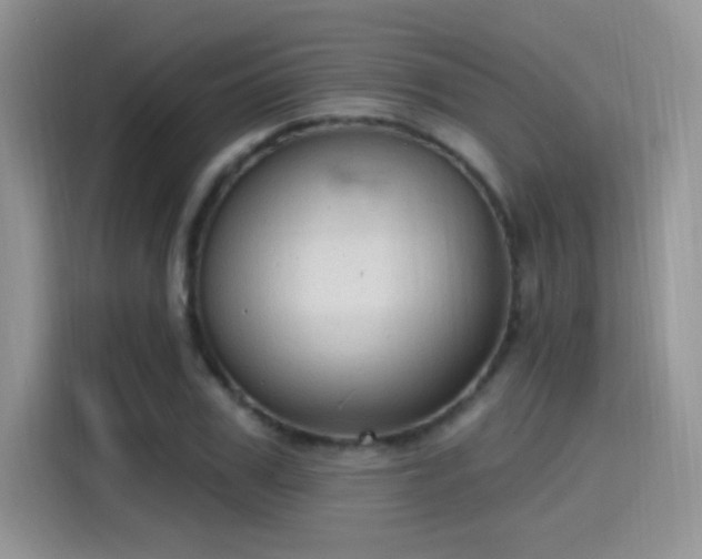 X0000115610979200911171145