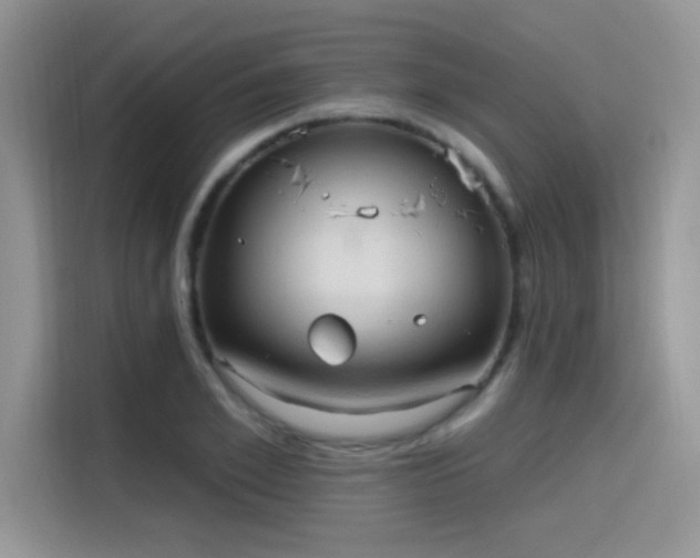 X0000115610981200911171145