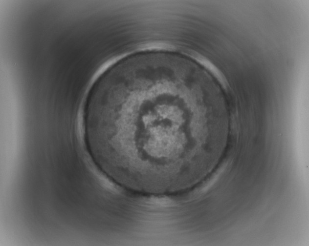 X0000115610983200911171145