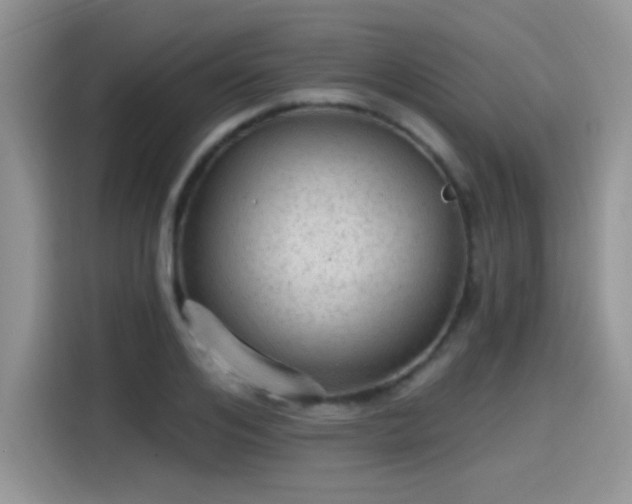 X0000115610984200911171145