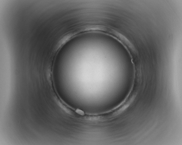 X0000115610985200911171145