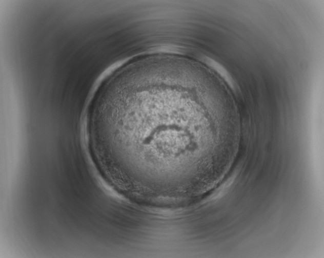 X0000115610987200911171145