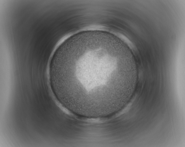 X0000115610990200911171145