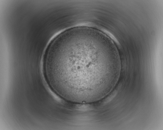X0000115610991200911171145