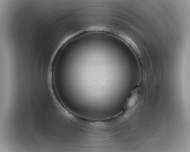 X0000115610992200911171144