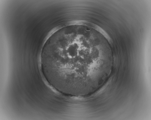 X0000115610994200911171144