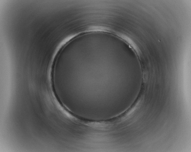 X0000115610995200911171144