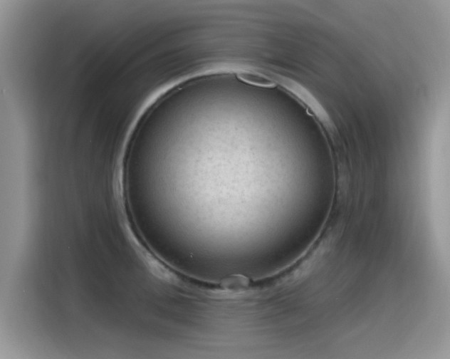 X0000115610996200911171144