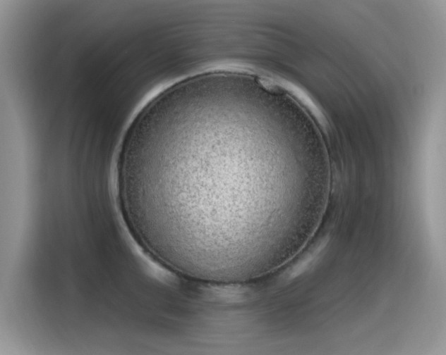 X0000115610999200911171144