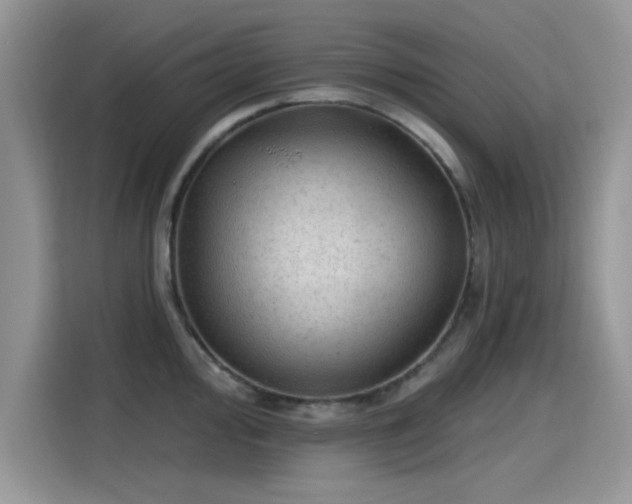 X0000115611000200911171144