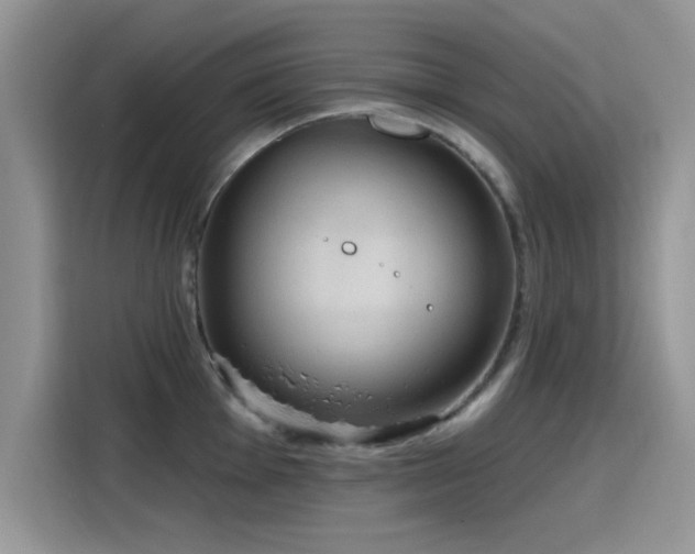 X0000115611001200911171144