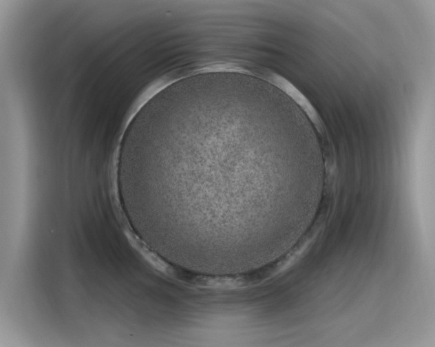 X0000115611002200911171144