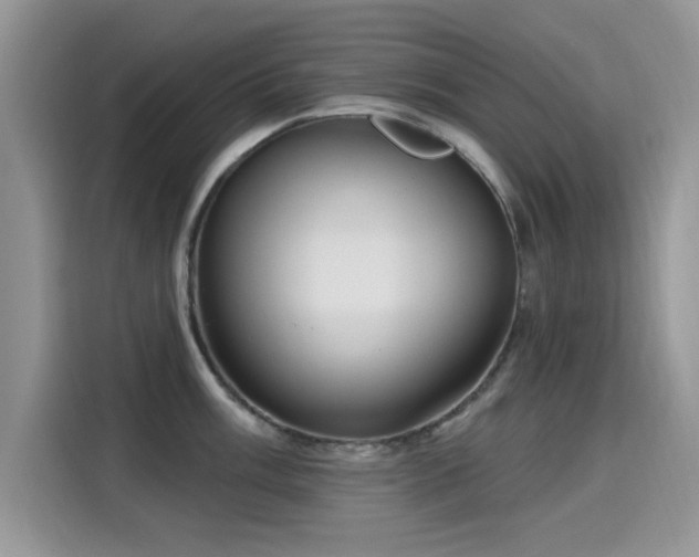 X0000115611003200911171144