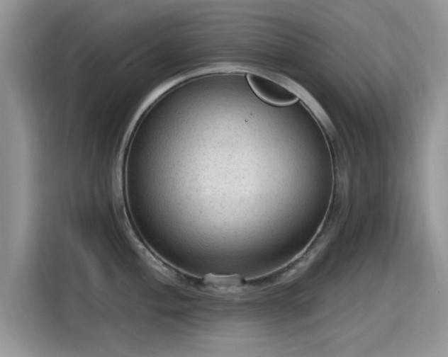 X0000115611004200911171144