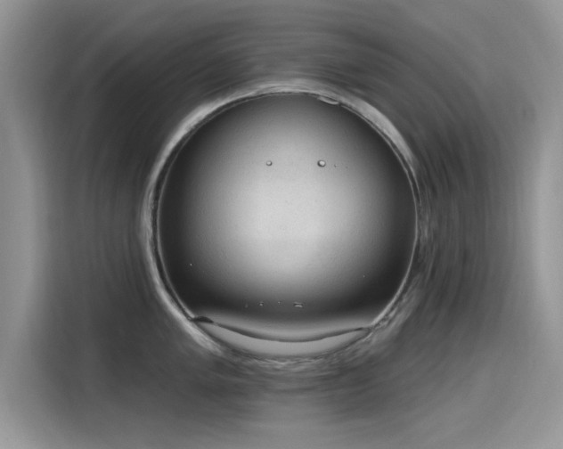 X0000115611005200911171144