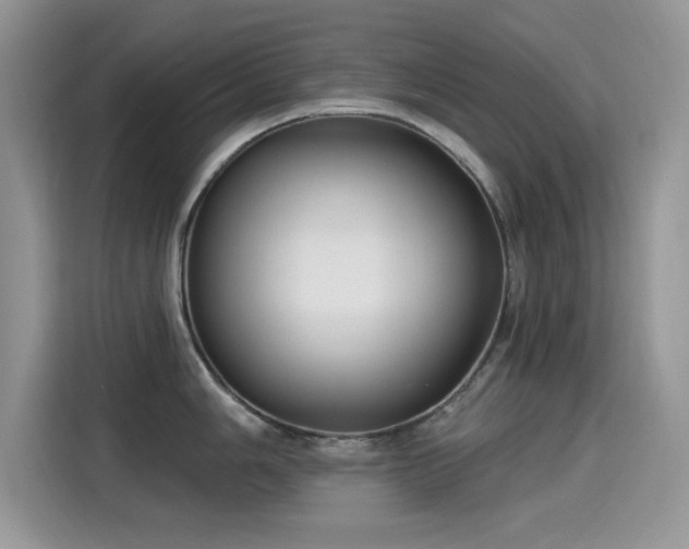 X0000115611006200911171144