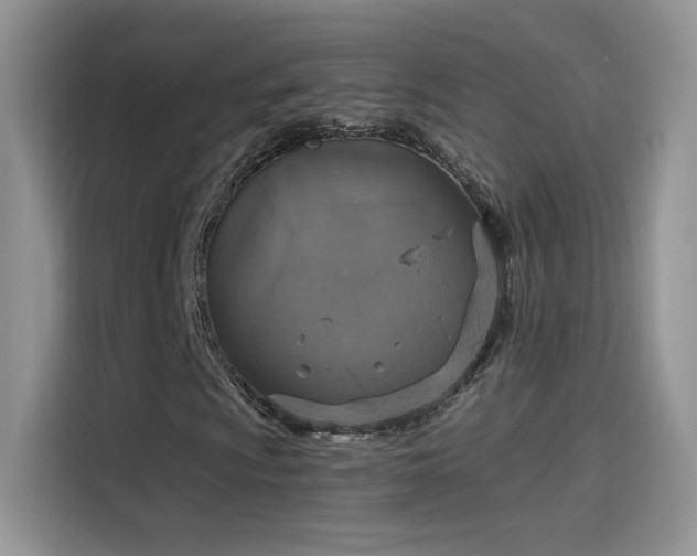 X0000115611009200911171144