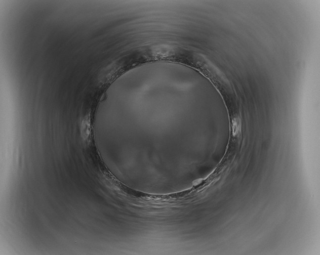 X0000115611011200911171144