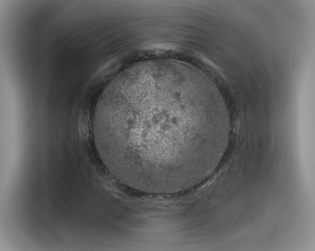 X0000115611014200911171144